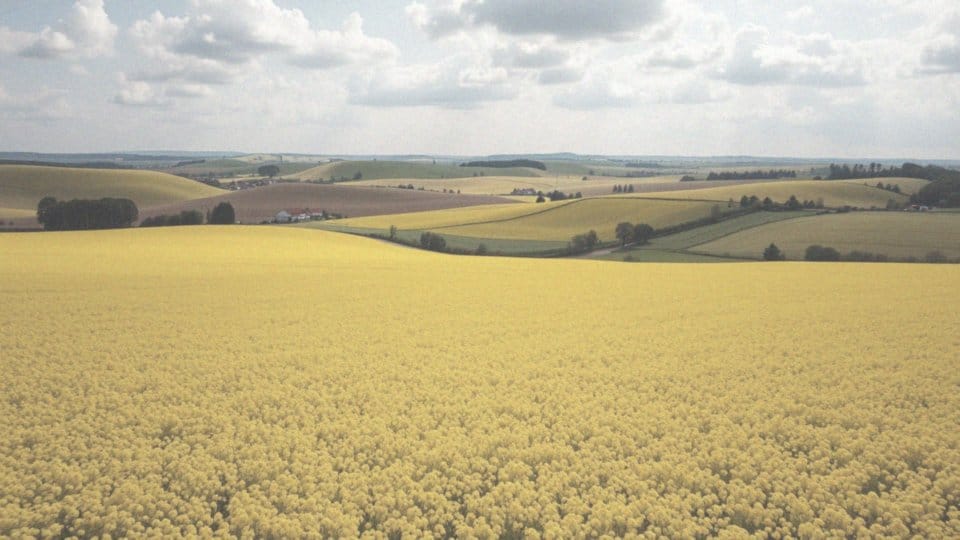 Gdzie można latać dronem? Przewodnik po strefach i przepisach