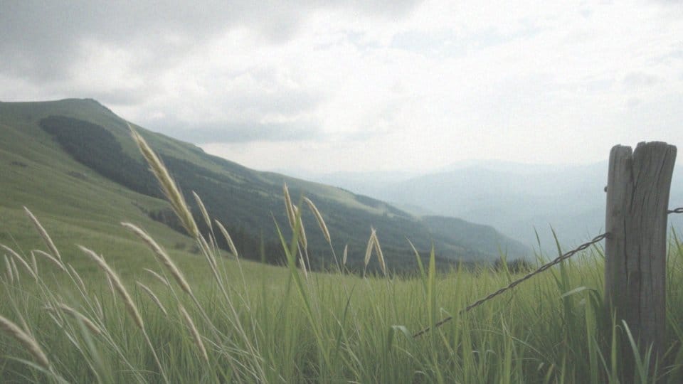 Gdzie w Bieszczady? Odkryj atrakcje i piękno regionu