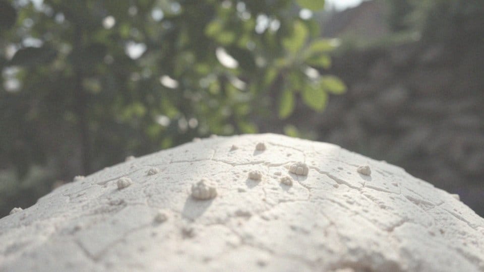 Jak wygląda brodawczak pochwy? Objawy i diagnostyka