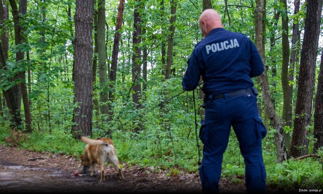 Zatrzymanie 41-latka za przemoc domową w Olecku